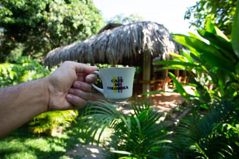 Origen Hostel Santa Marta - Parque Tayrona - Campestre - Hostal - Hoteles Colombia 0003
