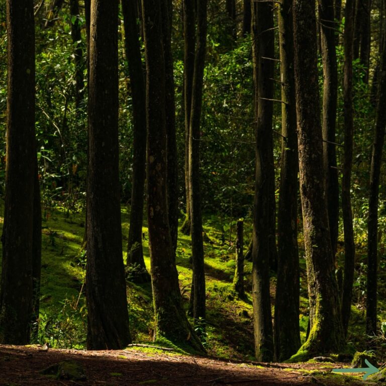Corporacion Parque Arvi Santa Elena Antioquia Medellin Agencias y Tour Operadores By Hoteles Colombia 001